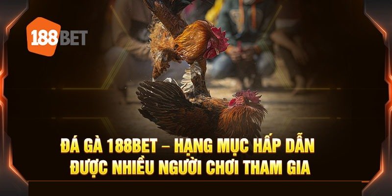 Game đá gà của nhà cái 188BET là gì?